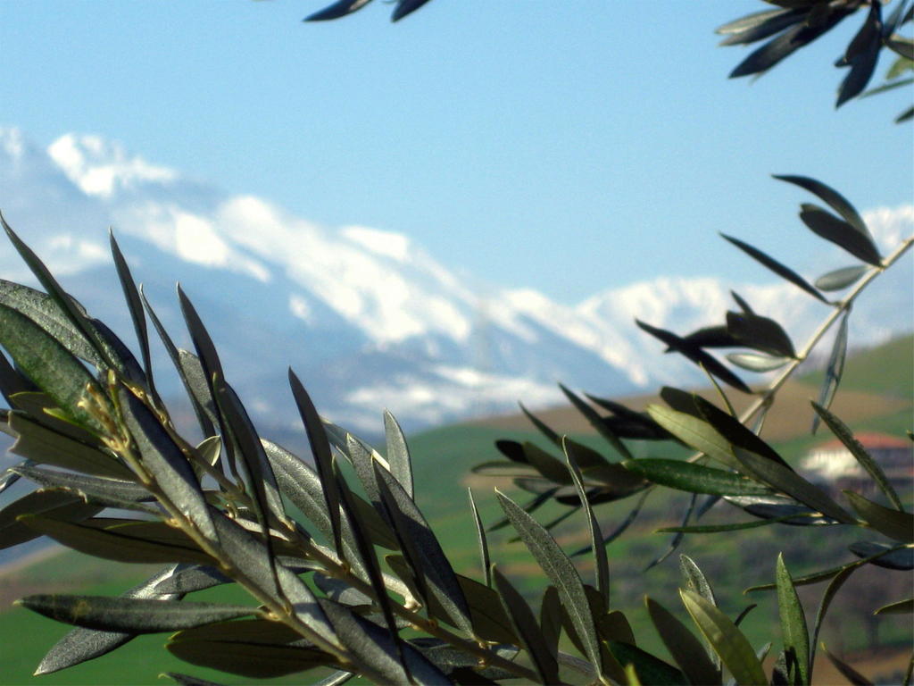 Agriturismo Cignale Penne Εξωτερικό φωτογραφία