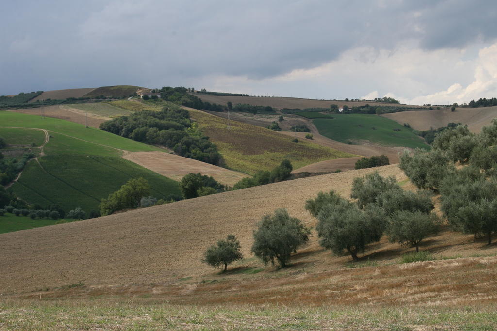 Agriturismo Cignale Penne Εξωτερικό φωτογραφία