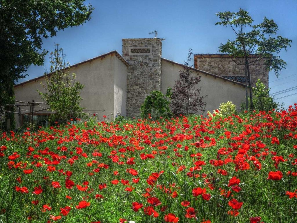 Agriturismo Cignale Penne Εξωτερικό φωτογραφία