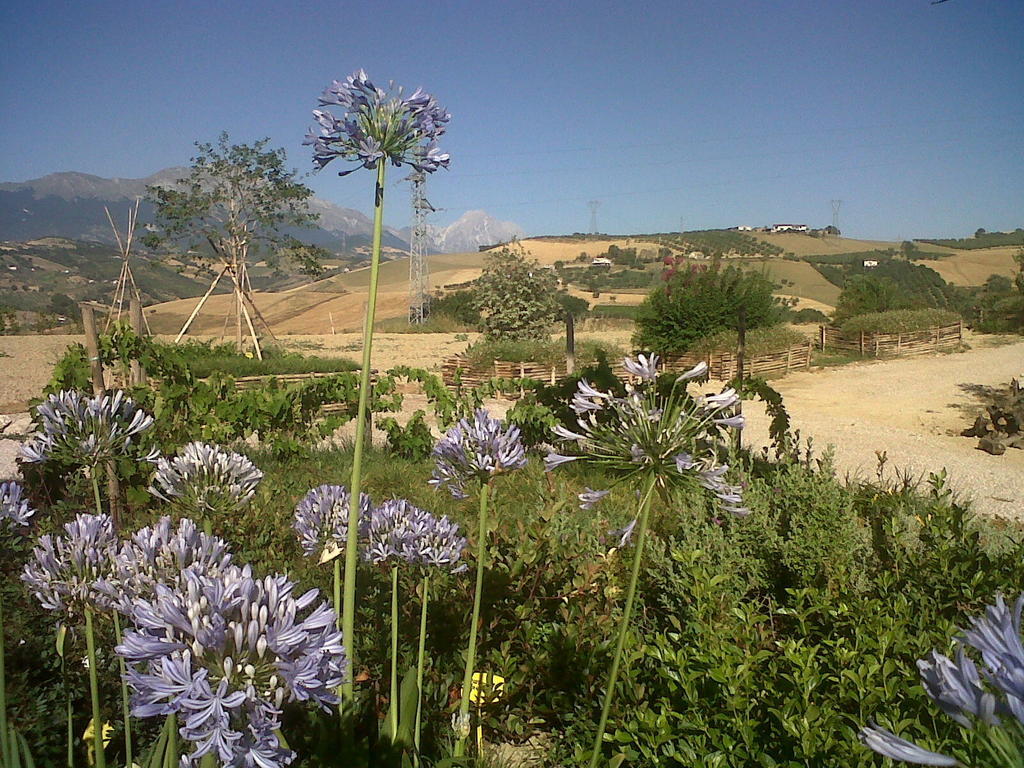 Agriturismo Cignale Penne Εξωτερικό φωτογραφία