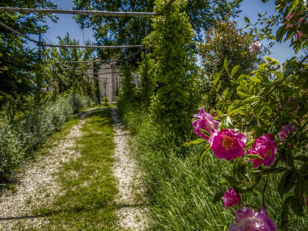 Agriturismo Cignale Penne Εξωτερικό φωτογραφία
