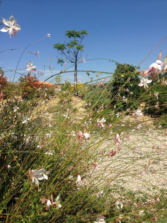 Agriturismo Cignale Penne Εξωτερικό φωτογραφία