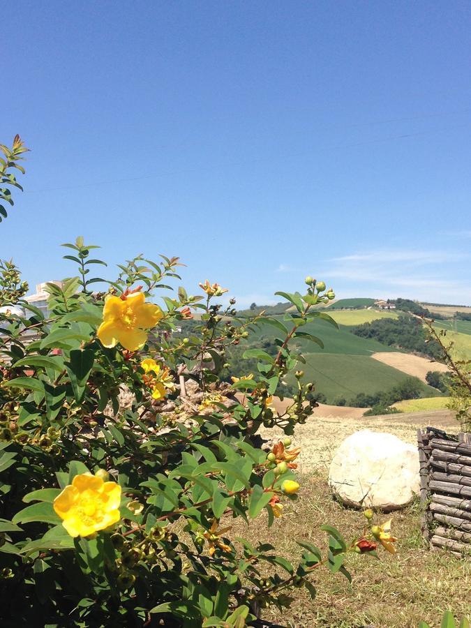 Agriturismo Cignale Penne Εξωτερικό φωτογραφία