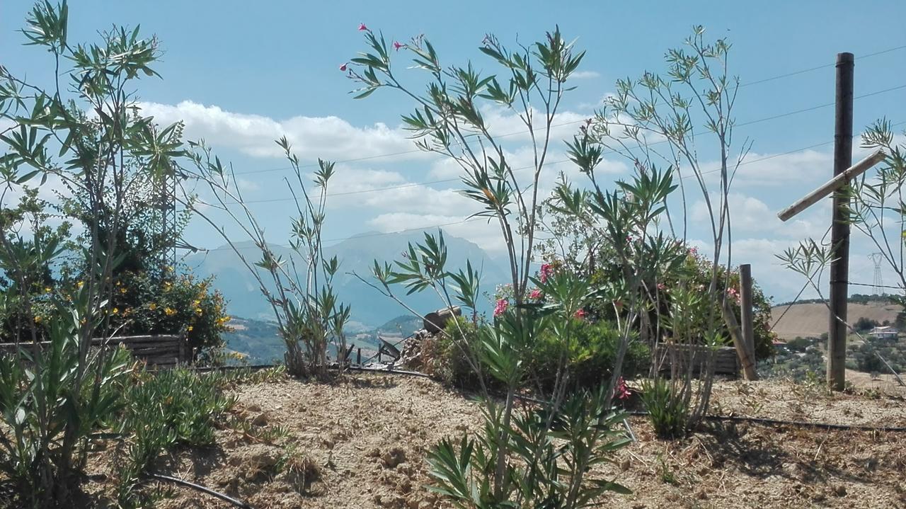 Agriturismo Cignale Penne Εξωτερικό φωτογραφία
