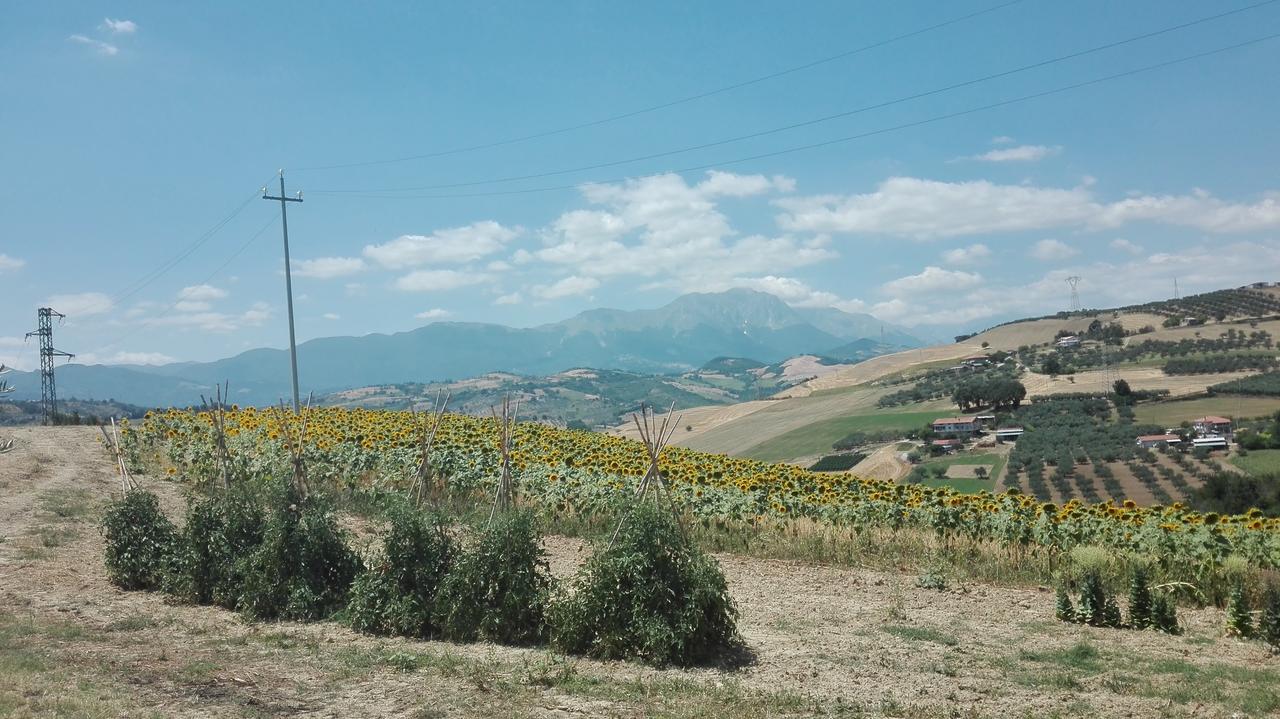 Agriturismo Cignale Penne Εξωτερικό φωτογραφία
