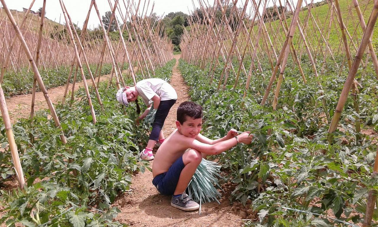 Agriturismo Cignale Penne Εξωτερικό φωτογραφία